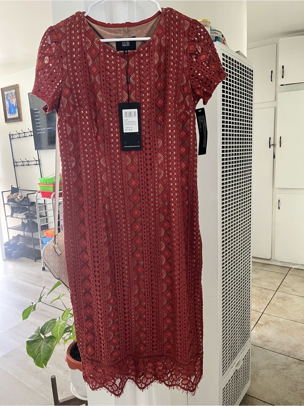 Goldie Crimson Lace Shift Dress